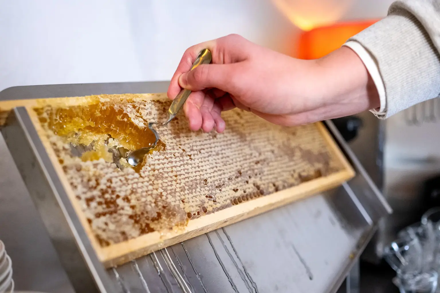 person who is scraping fresh honey from a honeycomb