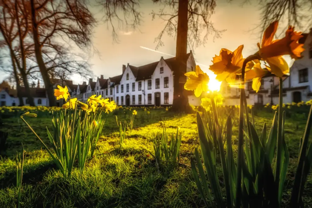 Ochtendbeeld van Begijnhof Brugge